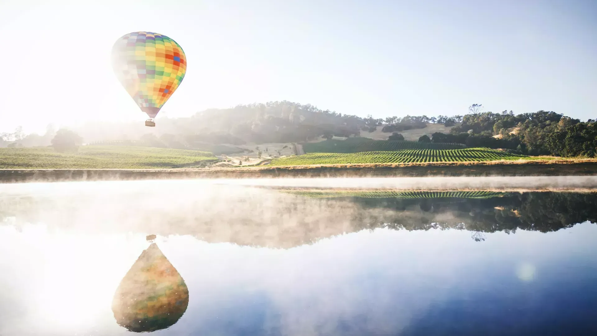 Montgolfière survolant un vignoble.