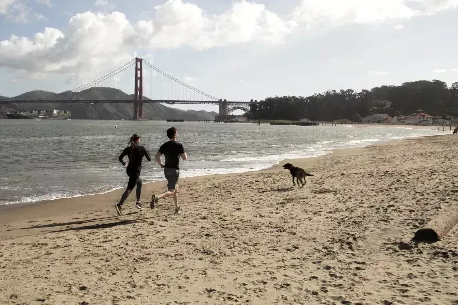 Coureurs sur Crissy Field